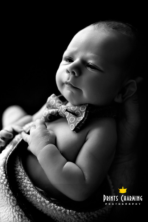 LFuh_2446BW(pp_w480_h719) Lucas: Newborn Newborns 
